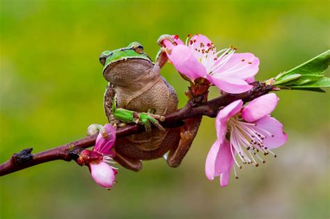 natureza .